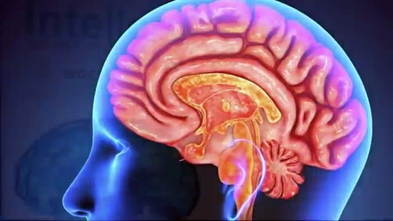 Intelleral Reviews- Don't Buy Intelleral Pill Read Side Effects Does It Really Work