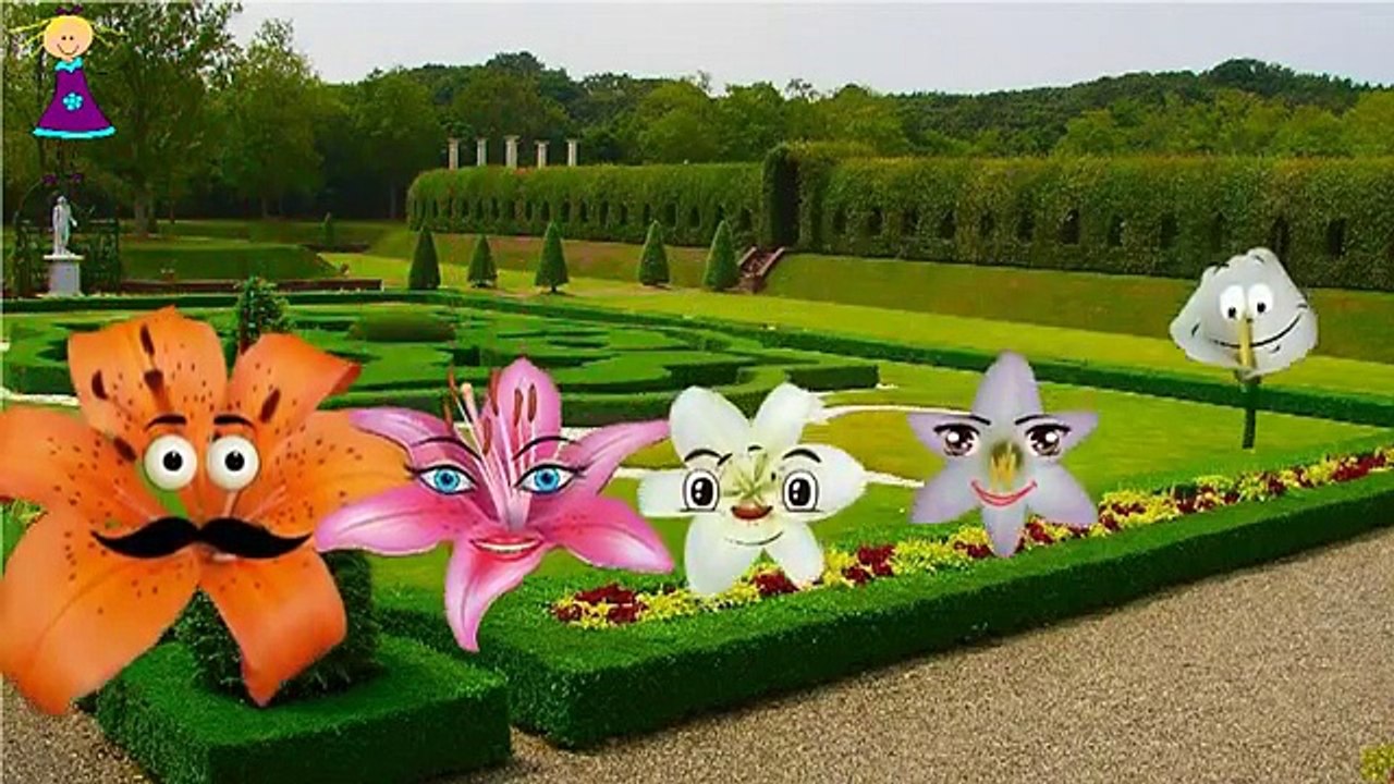 Finger Family LILLY Cartoon Nursery Rhymes | LILLY Cartoon Finger Family Nursery Rhymes