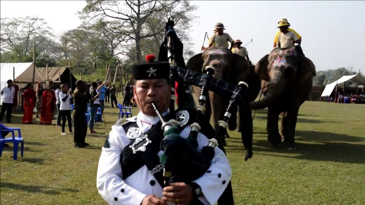 Elefanten-Polo: Umstrittener Sport in Nepal