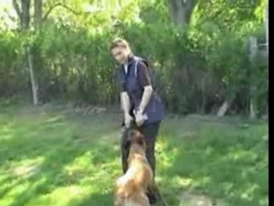 WÜP - Ejoekana van Joefarm