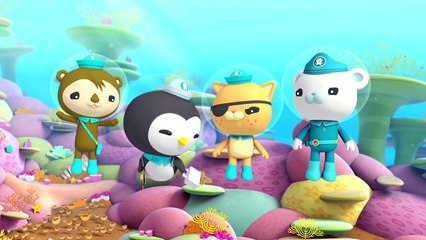 Мультфильмы для детей. Октонавты. Сезон 1 серия 44. Октонавты и спасение рифа дельфинами