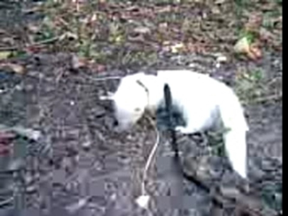 A la découverte du jardin