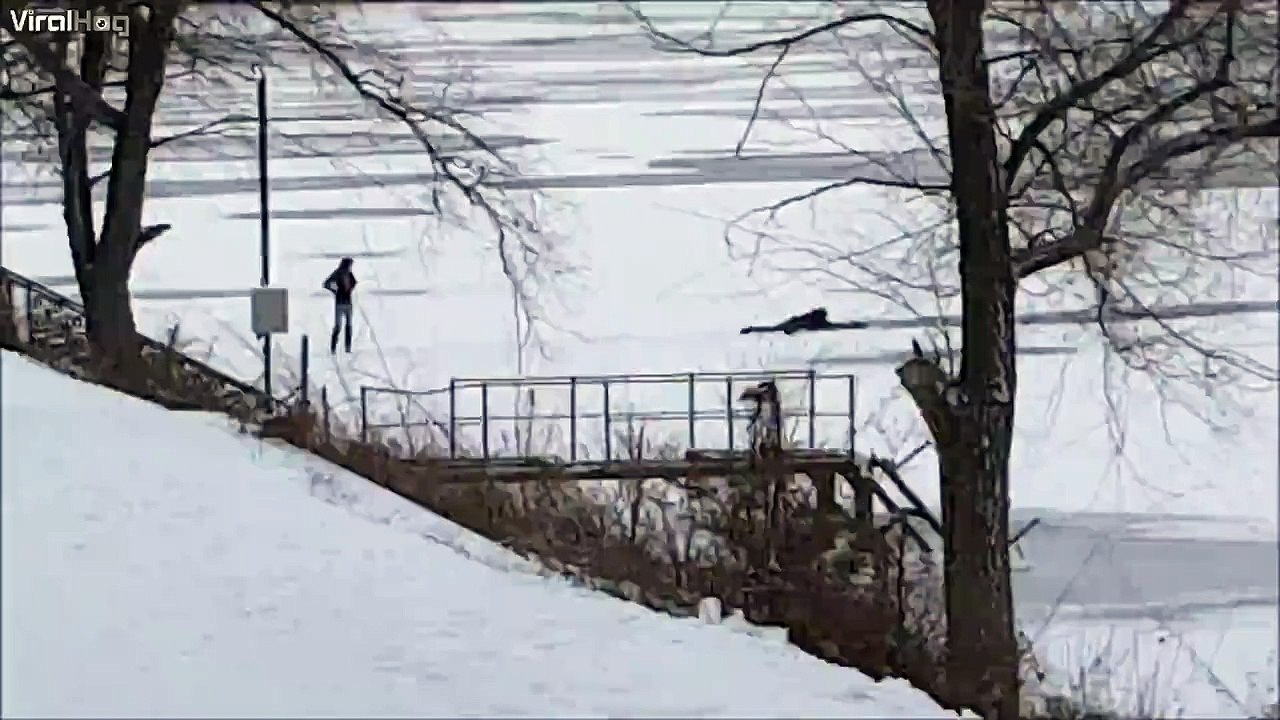 Un homme courageux sauve 3 chiens en train de se noyer dans un lac gelé