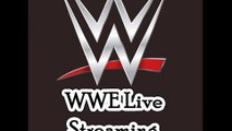WWE Highlights - Brock Lesnar vs Bray Wyatt & Luke Harper 01