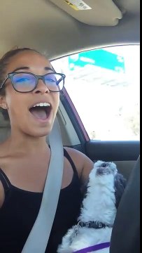 Elle chante avec son chien dans la voiture... Tellement drole