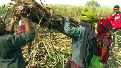 Rural India bears brunt of cash crunch | DW News