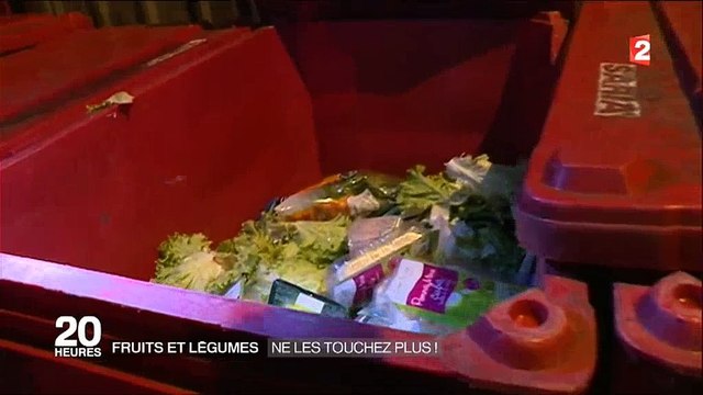 Des jeunes font leurs courses de fruits et légumes... dans les poubelles des supermarchés ! Regardez