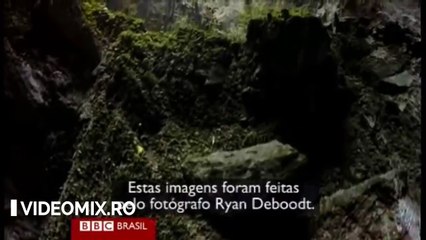 Un fermier a auzit un zgomot puternic din interiorul muntelui. Când a pășit înăuntru am rămas uimit!