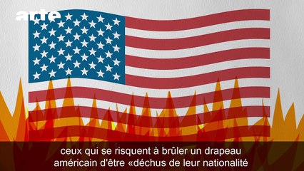 Trump et Philippot : Outrage au drapeau - DESINTOX - 05/12/2016