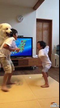 Un chien sépare deux frères en train de se battre