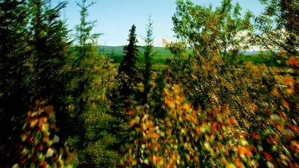 FEBRE DO OURO 6ª TEMPORADA 5 DE ABRIL