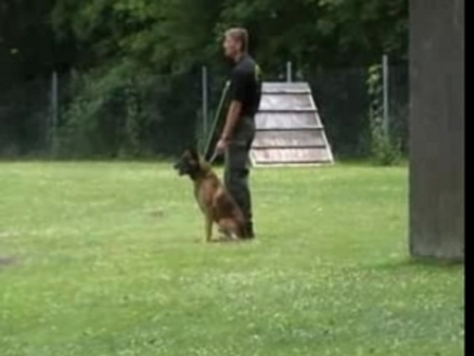 BH DHM 2007 Bach-Schutz