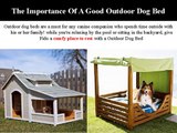 Outdoor Dog Beds: Provide Your Dog Comfort