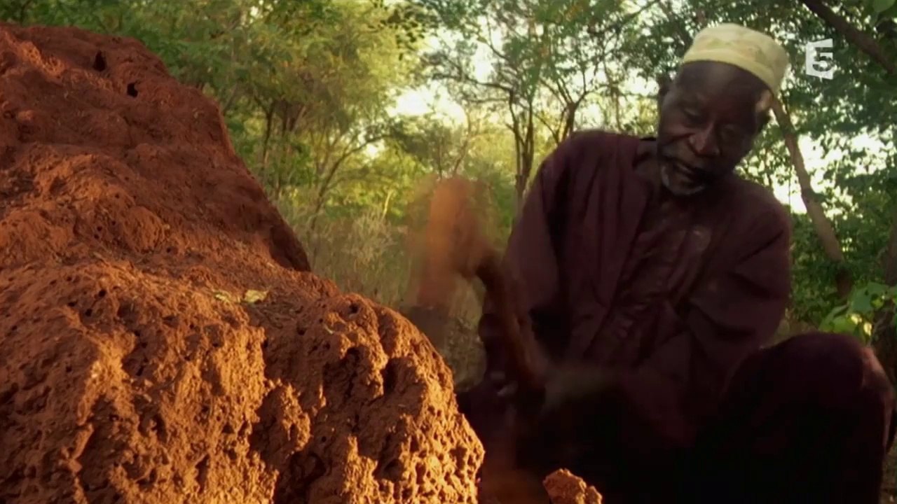 Yacouba Sawadogo, l’homme qui a arrêté le désert