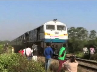 ভারতে ট্রেনে কাটা পড়ে তিন হাতির মৃত্যু