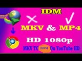 Change Youtube Mkv files to Mp4 on Google Chrome Download Through IDM