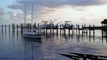 Free Stock Footage Marina with Boats 2