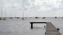 Free Stock Footage Marina with Boats 3