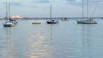 Free Stock Footage Marina with Boats 4