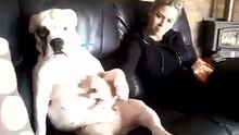 Instant meugnon ! N'arrête pas les papouilles ! Surtout n'arrête pas les papouilles !