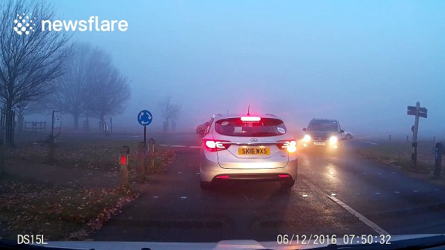 Heavy fog descends on Richmond Park, London