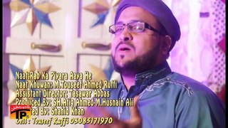 Rab Ka Piyara Aya He - Toseef Rufi -  Naat Eid Milad Un Nabi - Eid Milad Un Nabi 2016