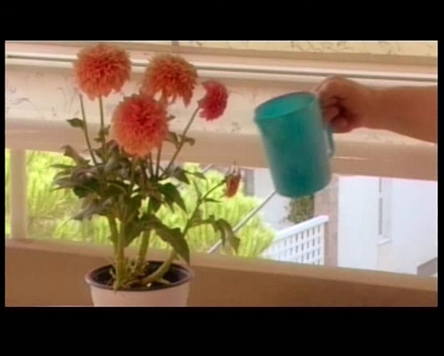 Μνήμες