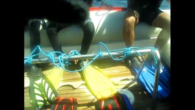 Diving In Marsa Alam, Red Sea - Egypt