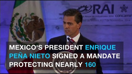 Mexico president creates four protected biological reserves