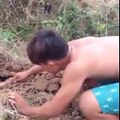 Wow! Amazing Video,How To Catch Snake by hand in cambodia 2016