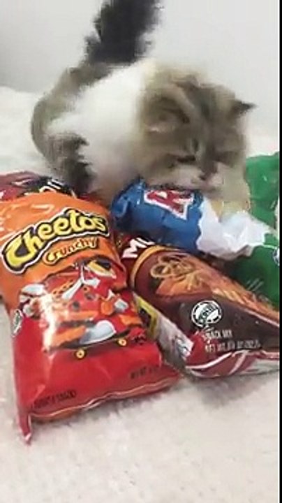 Tira a mão humano é tudo meu