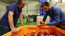 Réduction du gaspillage alimentaire en arboriculture dans les Pyrénées-Orientales