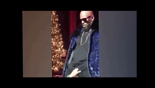 En plein concert, une fan attrape les parties intimes de R. Kelly.
