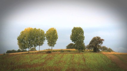 SOLEVIDENCE : optimiser le fonctionnement des sols par une approche collective