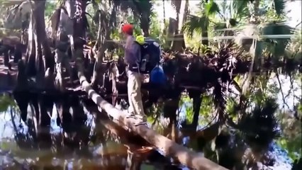 Best Fails Compilation December 2016   Funny Videos 2016   Epic Fail Compilation 2016