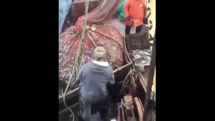 Ces pêcheurs ont eu une incroyable surprise en relevant leur filet