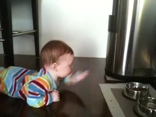 Baby 'swims' across floor to reach cat food bowl