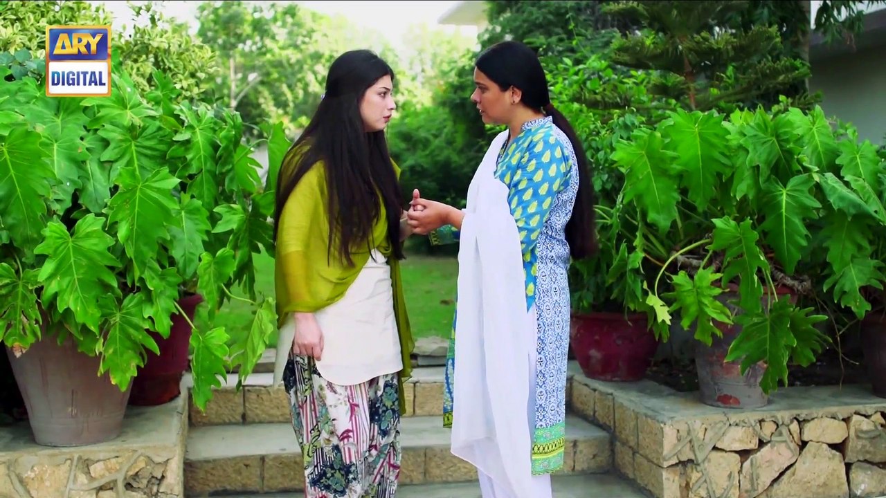 Watch Mein Mehru Hoon Episode 96 - on Ary Digital in High Quality 6th December 2016