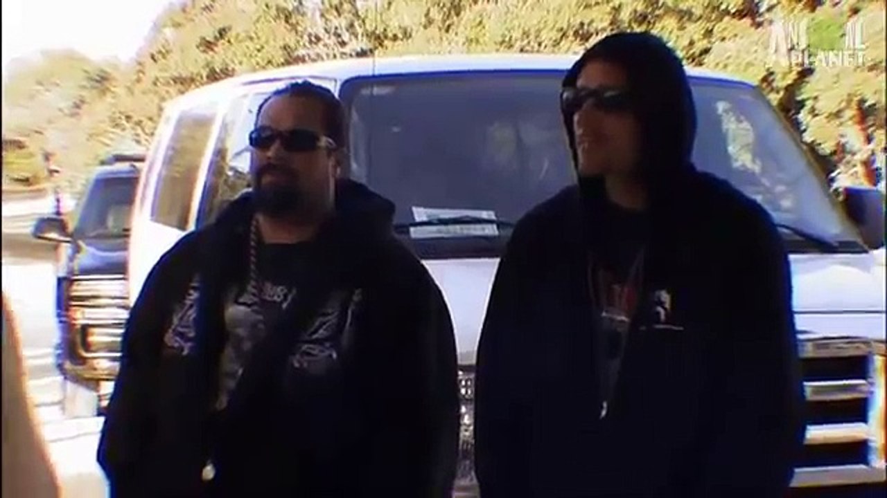 Pits vs. Porcupines   Pit Bulls & Parolees