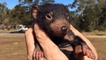 This Adorable Tasmanian Devil Joey Is Fighting For His Species