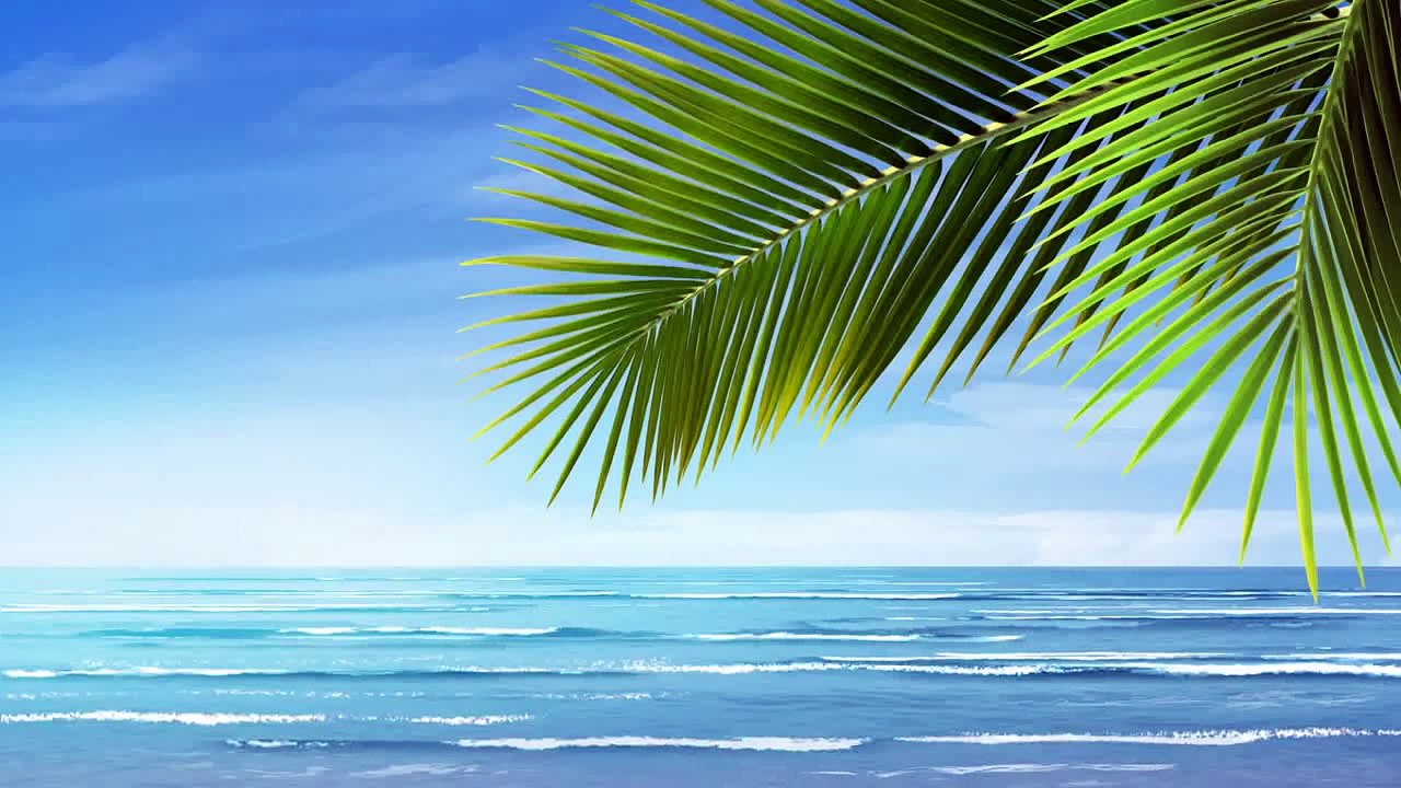 Background Video HD Beach