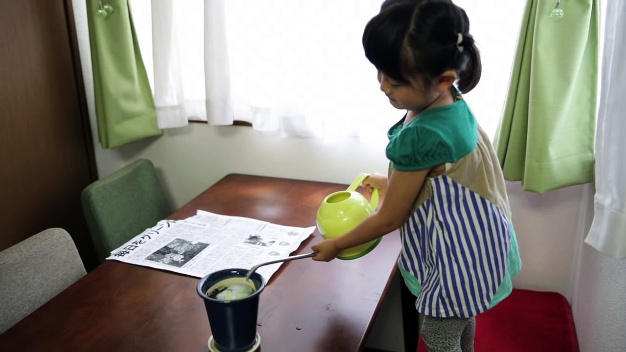 The Mainichi, un "journal fertile" qui, une fois lu, peut devenir une jolie plante décorative.