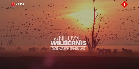 De Nieuwe Wildernis 03 - Overleven in de Wildernis 🌿