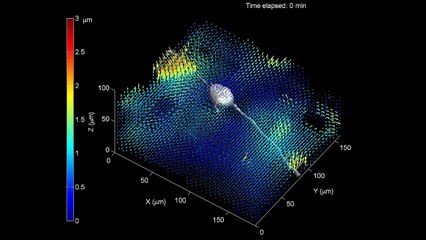 Biological Systems and Materials