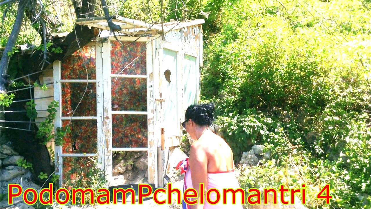 PodomamPchelomantri 4