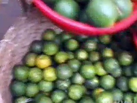 Anthony Bourdain A Cooks Tour - S01E05 - Wild Delicacies