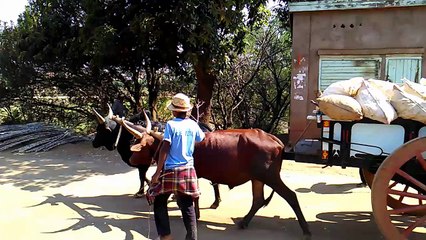 Présentation de l'association AFFD