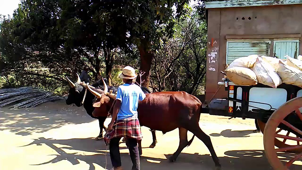 Présentation de l'association AFFD