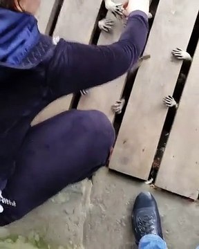 Elle entend des cris étranges venir de sous sa terrasse