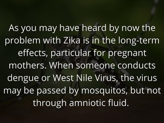 What You Need to Know About Zika